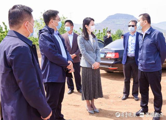 枣庄市侨联“企呼侨应”服务团 首场春送服务在山亭开展
