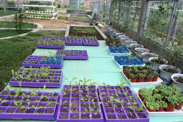 低碳科技体验馆、生态智能大棚……龙泉驿这所绿色低碳生态学校升级了！