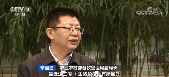 涨！涨！涨！猪肉价格，反弹了！为什么？接下来怎么走→
