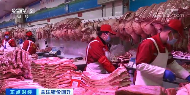 涨！涨！涨！猪肉价格，反弹了！为什么？接下来怎么走→