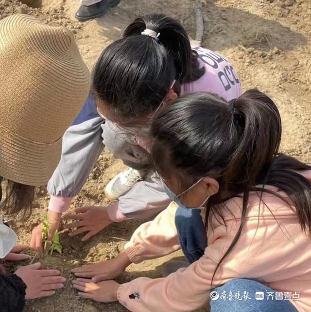 春耕沃土播种希望，广平镇麻庄小学劳动实践课