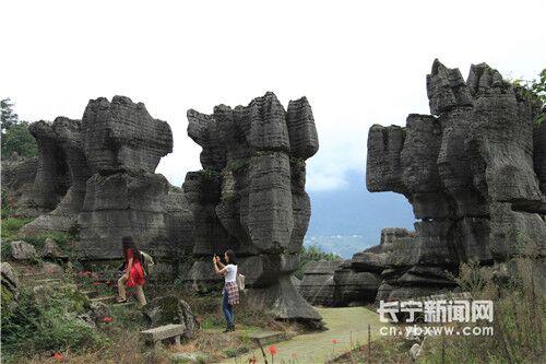 四川4A级西部竹石林风景区破产拍卖