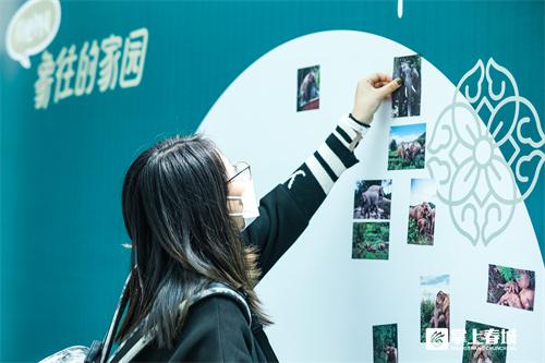 零距离感悟生物多样性《看见中国-象往的家园》新书在昆发布