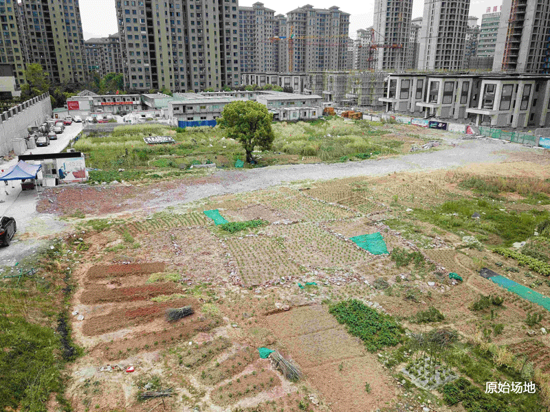 正式开放！丽水首个以“市花”杜鹃为主题的城市公园来了