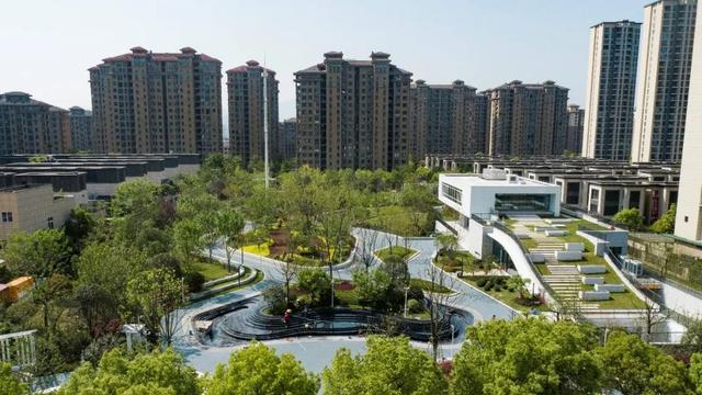 正式开放！丽水首个以“市花”杜鹃为主题的城市公园来了