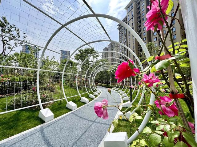 正式开放！丽水首个以“市花”杜鹃为主题的城市公园来了