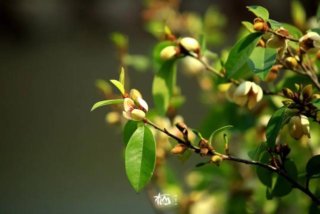 【栖语堂】 在复杂的世界里，和简单的人在一起
