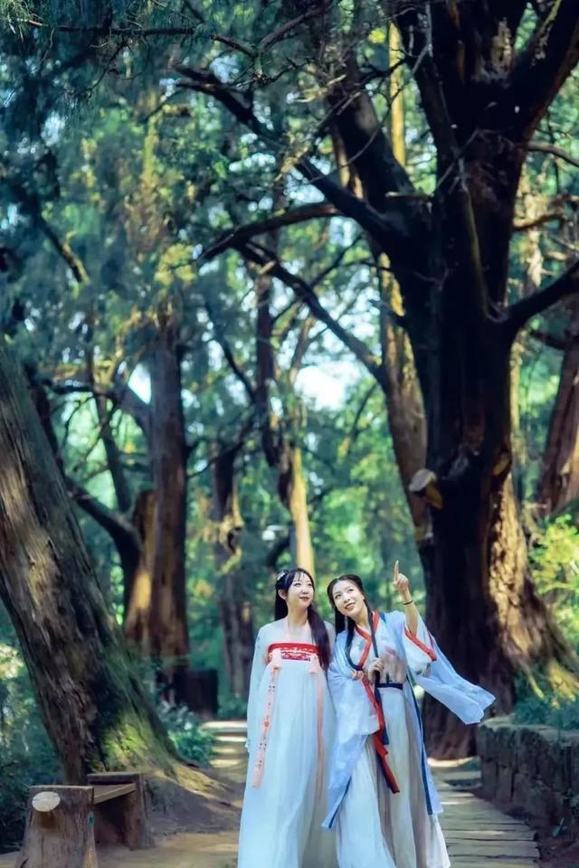 【五一“趣”剑阁】直接出发！四天三夜康养度假游已为您安排好~