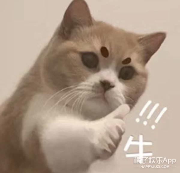 鸡皮疙瘩百度云视频