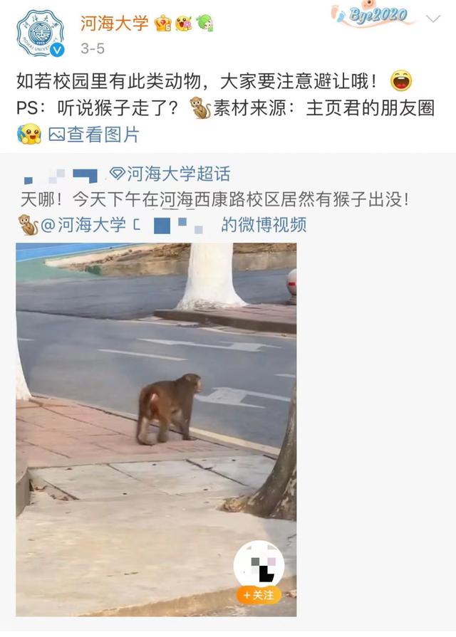 团伙流窜作案，一“成员”被抓！现场画面曝光