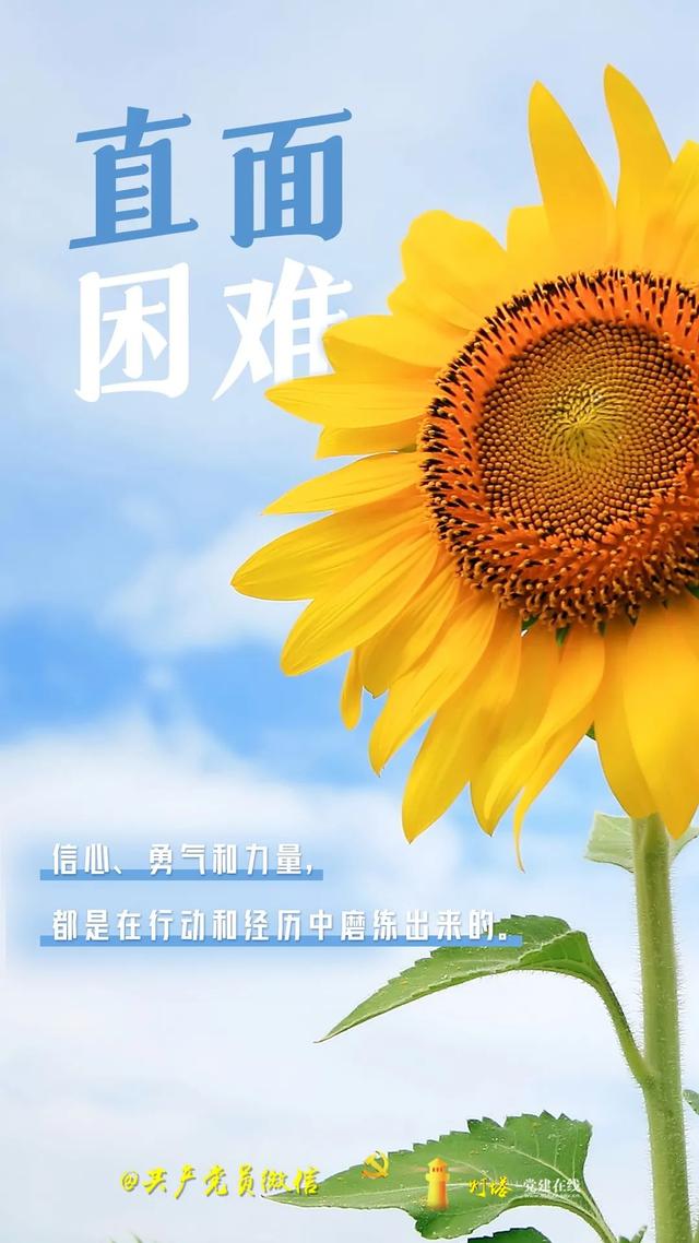 致更好的自己：五月，向阳生长！