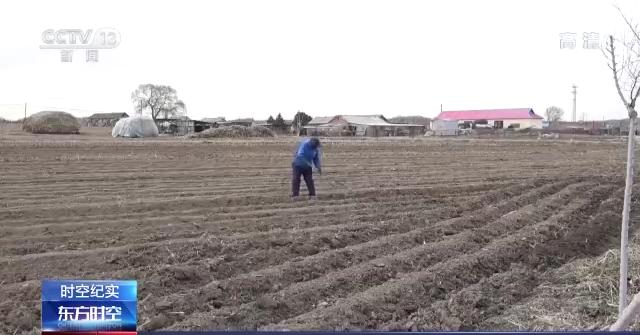 春耕大幕拉开 吉林省多措并举确保不让一亩地撂荒