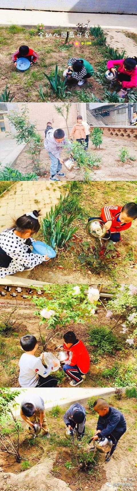 「主题活动」临夏市甘光幼儿园“五一劳动节”主题活动