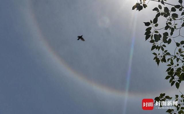 五一假期最后一天 成都天空又现“日晕”惊艳朋友圈