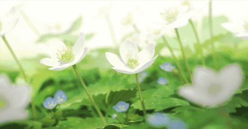 来了！就在今天