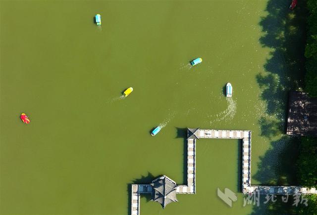 就地就近出游 乐享假日