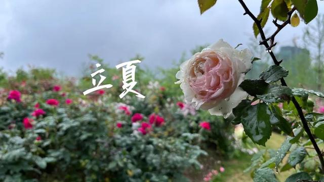 来了！就在今天20时25分