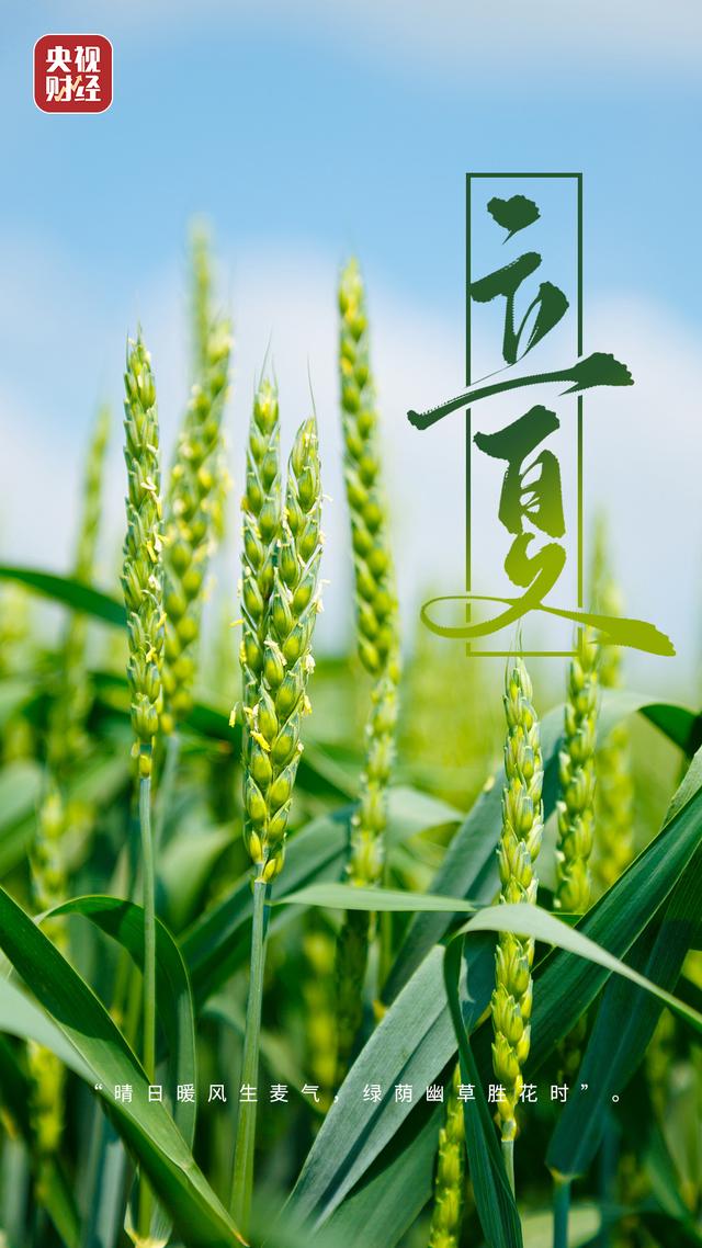 今日立夏，夏天模式开启