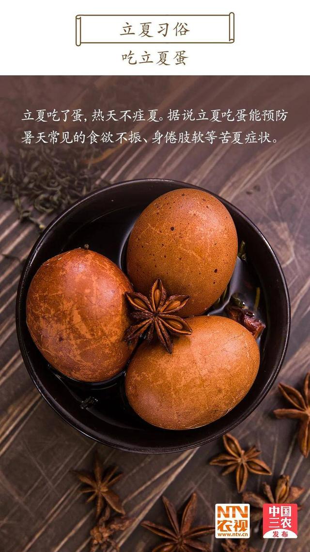 今日立夏 | 薰风至而万物秀