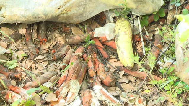 大量蔬菜包被丢弃在一处荒地？松江相关部门已介入调查
