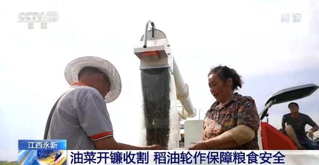立夏时节 我国多地粮食主产区逐渐进入夏收、夏种、夏管农忙模式