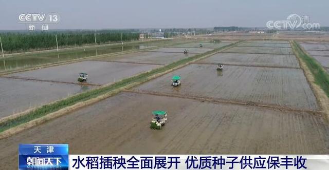 立夏时节 我国多地粮食主产区逐渐进入夏收、夏种、夏管农忙模式