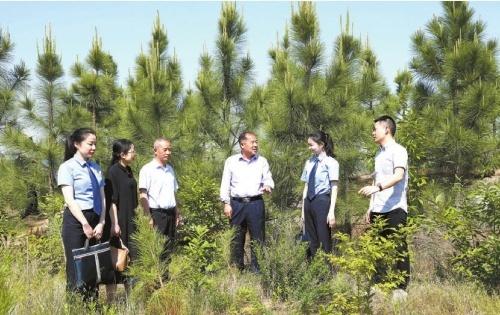 “走近一线检察官”微直播 聚焦涉案企业合规改革