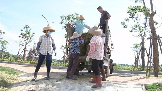 博鳌镇：秸秆禁烧疏堵结合显成效