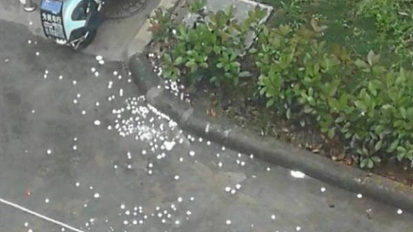 道歉了！上海浦东北蔡一小区大量投放消毒片，居民身体不适！通报来了