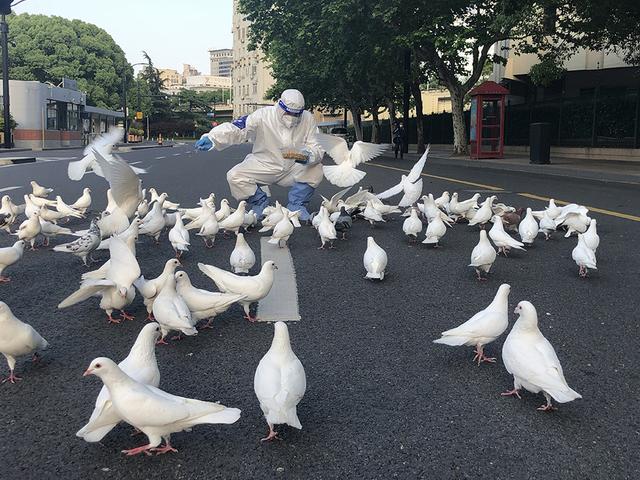 空中飘来“咖啡味” 上海闵行回应