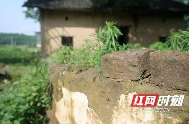 这盛世已如你所愿丨“断肠英雄”故事有新篇：半筐红薯与六张红军纸币