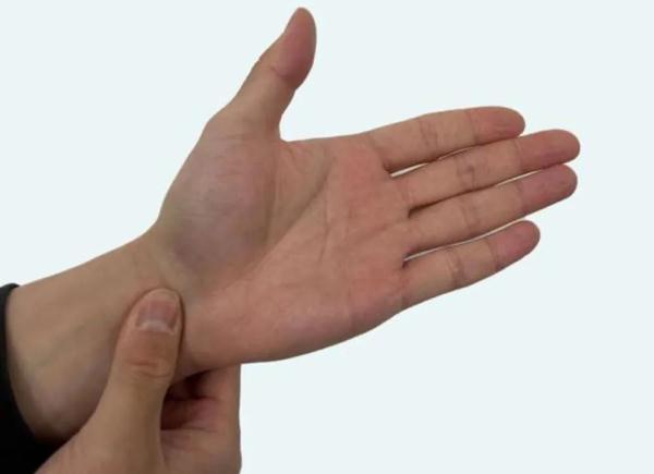 一,食指是哪个手指