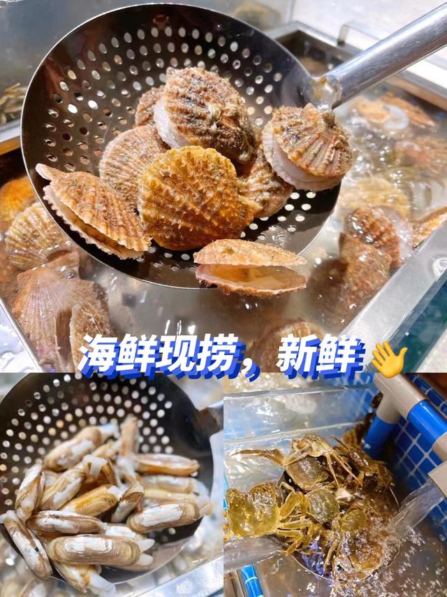 星伦多海鲜自助餐总部，星伦多海鲜自助餐优惠券