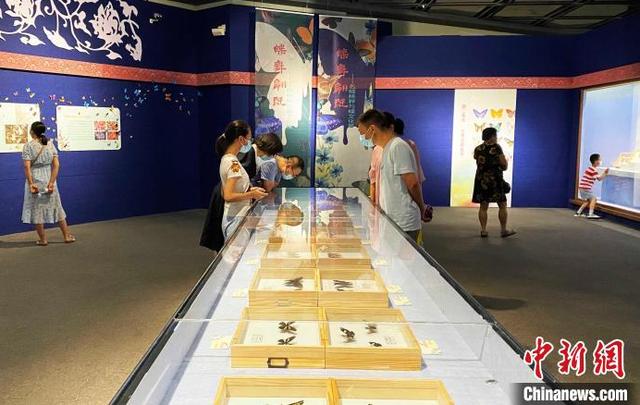 扬州蝶湖文化发展有限公司「彩蝶树赏析」