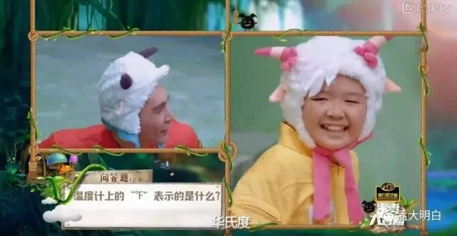 蟋蟀的耳朵长在哪里，蟋蟀的耳朵为什么长在脚上（这个儿童益智节目让欧弟、吴昕、撒贝宁都智商掉线）