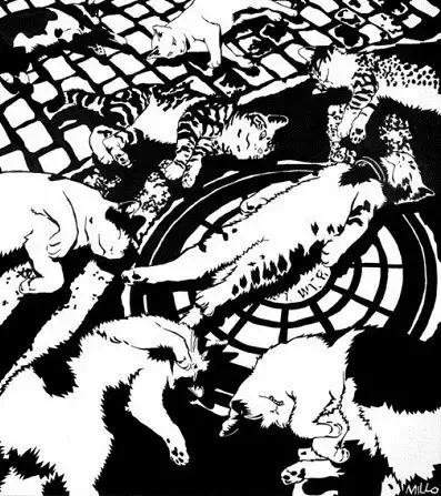 黑色星期天歌词大意,黑色星期天歌词意思是什么(禁曲《黑色星期天》真能杀人还是炒作) 黑色星期天歌词大意,黑色星期天歌词意思是什么(禁曲《黑色星期天》真能杀人还是炒作)