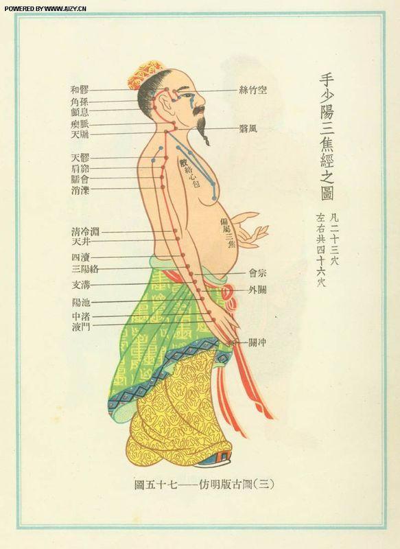 脚背经络图解大图，脚背的部位高清图解（按摩艾灸、拔罐刮痧都用得到）