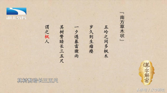 枫叶的拼音，汉字解密，枫：关于枫叶的美