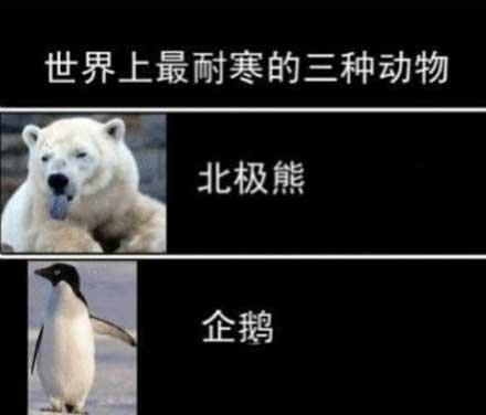 有一种思念叫望川秋水有一种寒冷叫忘穿秋裤，有种寒冷叫忘穿秋裤 有种思念叫望穿秋水（有一种思念叫做望穿秋水图片）