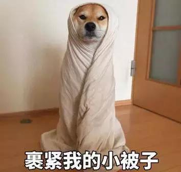 形容男女关系打扑克是什么意思，打扑克是什么梗（“嘟式”婚恋哲学）