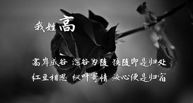 姓氏专属情话句子，姓氏的爱情句子（都有一句情话<暖心系大全>）