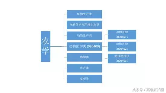 动物药学属于什么类专业，动物药学属于药学类吗（这个专业和想象中不一样）