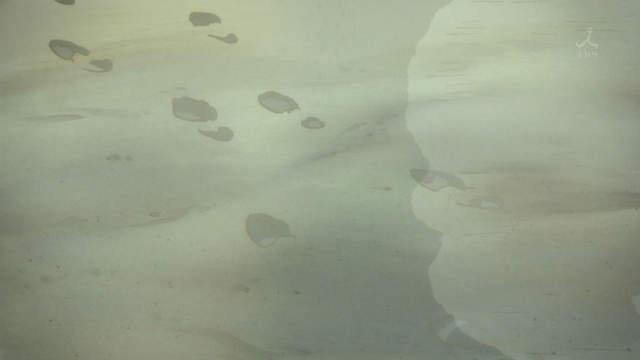 反叛的鲁路修结局，反叛的鲁鲁修结局（说说动漫中的“开放式结局”的主角最后都怎样了）