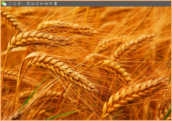 吃五谷降血脂，清洁血液降压