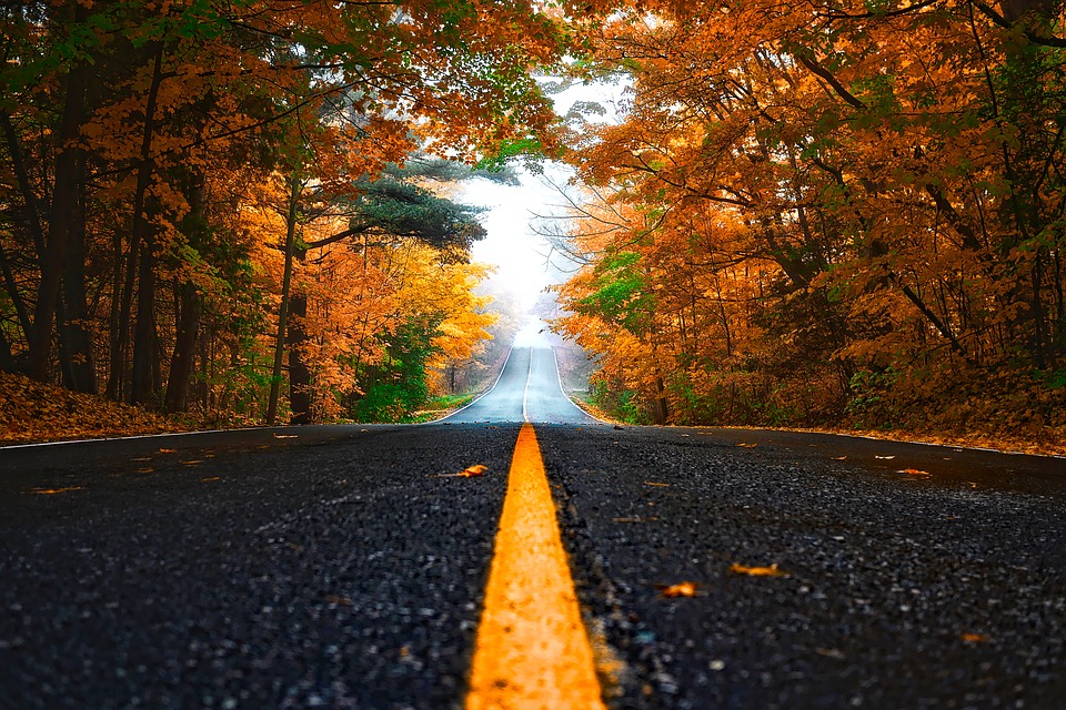 我甚是想念你，从清晨到夜晚，一直念念不忘