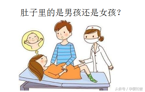 准确率100的生男生女公式（分享靠谱的生男生女的推算法）