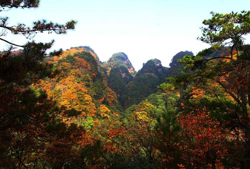 重庆巫山主要景点游玩攻略