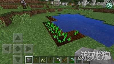 我的世界怎么种植农作物 教程攻略