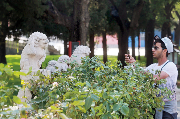 切断虹桥，近距离观看“兜裆布萌狮子”
