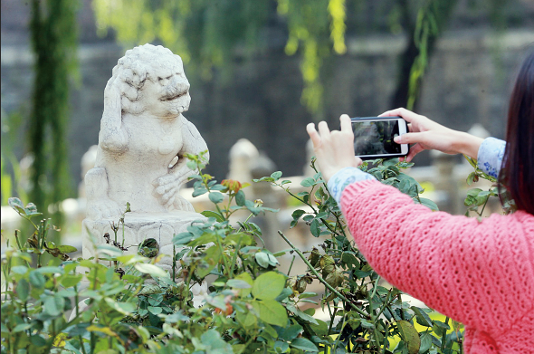 切断虹桥，近距离观看“兜裆布萌狮子”